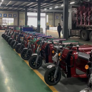 最佳价格双减震货运三轮车电动重型电动自行车电动三轮车2人/差速器 - Product Image 5