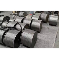 Fil de ressort en acier inoxydable 302 / 302A pour ressort MT23 de haute qualité avec CE ISO