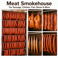 Four de cuisson et de fumage de viande ZX1/1, capacité 250 kg, chauffage vapeur par lots, contrôle PLC pour saucisses, jambon, bacon et produits de la pêche