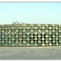 Revêtement mural extérieur commercial en carreaux hexagonaux en terre cuite émaillée colorée