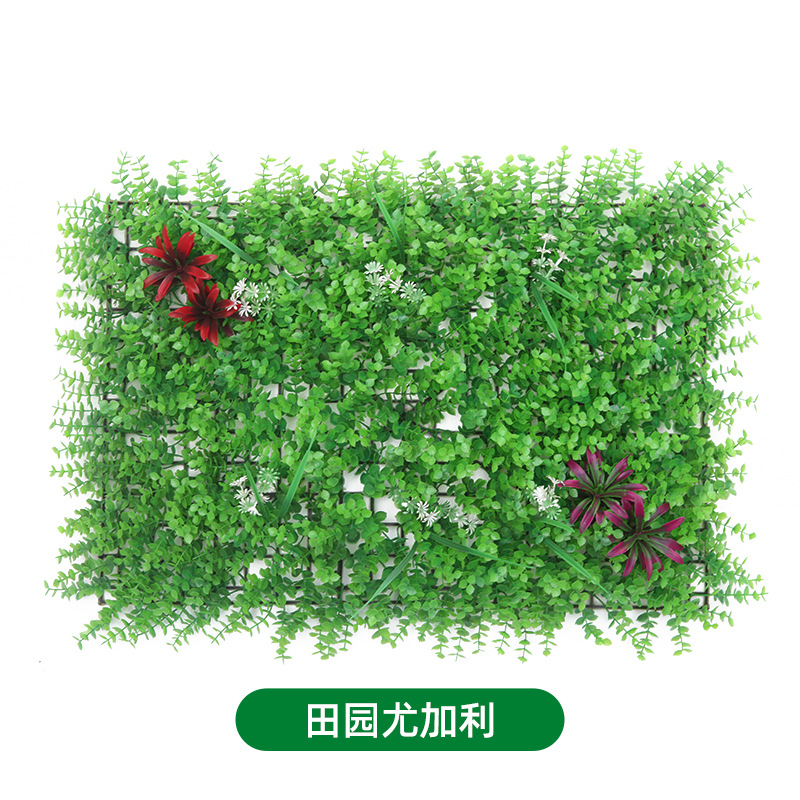Eucalipto pastorale 40x60 cm [standard]