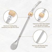 Paille à boire réutilisable en acier inoxydable avec filtre-cuillère pour Yerba Mate - Articles de bar