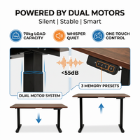 Bureau debout électrique ergonomique avec structure en acier et contrôle de mémoire pour les programmes de fournisseurs de mobilier de bureau pour importateurs