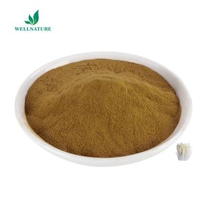 สารสกัดจากเห็ดฟลามมูลินา เวลูไทป์ส 30% 50% โพลีแซ็กคาไรด์ ผงสารสกัดจากเห็ดเข็มทอง เห็ดเอโนกิ - Product Image 3