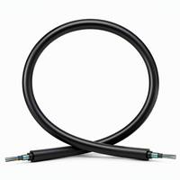 Fibra Óptica Monomodo G652D 4-288 para Exteriores, Aluminio, Tubo Suelto, Blindada, GYTS SC/FC/LC FTTH