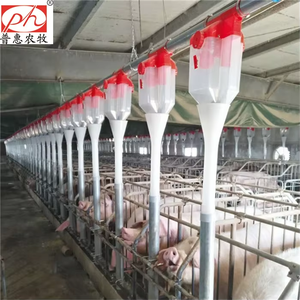 Automatic Pig Feed Line System For Hog <b>Farm</b> Livestock Feeding Equipment - Product Image 1
