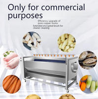Industriële Grote Gemberwasmachine Volautomatische Dunschiller Elektrische Aardappel Reinigings-En Schilmachine