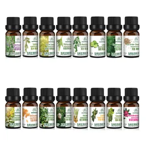 Conjunto de óleo essencial de aromaterapia 10ml 6 gifes Tangerina Cipreste Cajeput Manjericão Campor Feno