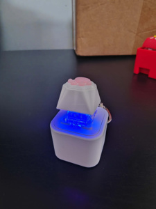 Nouvelle tendance LED son Miaow chat TYPE-C porte-clés Rechargeable chaton porte-clés électrique Anime porte-clés jouet pour la décompression amusante - Product Image 2