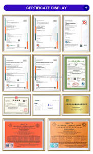 ผงบาซิลลัส coagulans-39โปรไบโอติกวัตถุดิบสำหรับอาหารเสริมสุขภาพ - Product Image 6