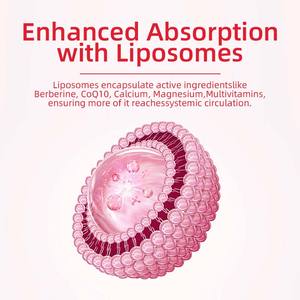 Caramelle Gommose OEM alla Berberina con CoQ10, Magnesio, Calcio e Vitamine Essenziali, Senza Glutine, con Calcio, Magnesio e Zinco - Product Image 5