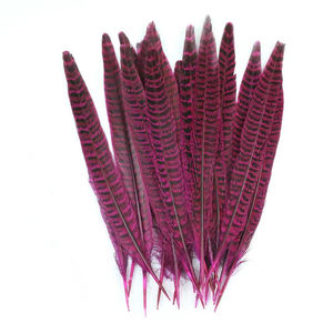 Plumes de faisan de 12 à 14 pouces, vente en gros d'usine, pour la pêche à la mouche, la confection de costumes de carnaval, la décoration, les reconstitutions de l'ère victorienne - Product Image 3