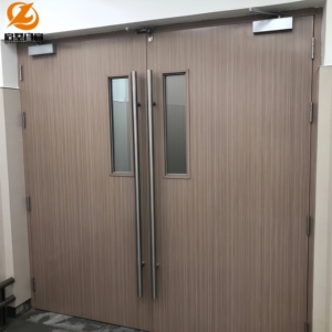 Porte extérieure moderne ignifugée en acier galvanisé, conforme aux normes australiennes, résistante aux intempéries, pour le marché australien - Product Image 6