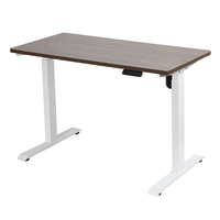 Grossiste d'usine Emballage intégral de bureau d'ordinateur debout à moteur unique avec levage de hauteur avec bureau en MDF de 47 "x 24"