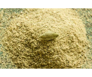 Premium Fresh Green Elaichi <b>Powder</b> Natural Cardamom Spice with Fine Ground <b>Texture</b> Bold Aroma and Authentic Flavor for Bulk - Product Image 1