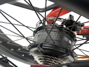 Bicicleta Eléctrica Super Power de 60V/72V con Tracción en Dos Ruedas, Baterías Dobles de 35AH, Bicicleta Todoterreno - Product Image 5