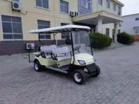 Voiturette de golf électrique classique 6 places 48V avec feux LED avant et arrière combinés, sac de golf 3M inclus, certifiée CE
