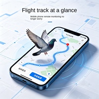 Traceur GPS pour oiseaux (perroquets, ménagères, pie-gros, pigeons, calopsittes, cacaos) – Anneau de patte en PVC IP67 – Suivi et surveillance à distance