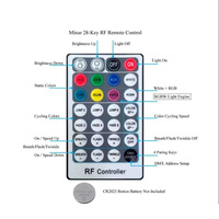 Projecteur LED extérieur IP65 6000K blanc à roue de couleur scintillante DMX512 pour éclairage de piscine à fibre optique
