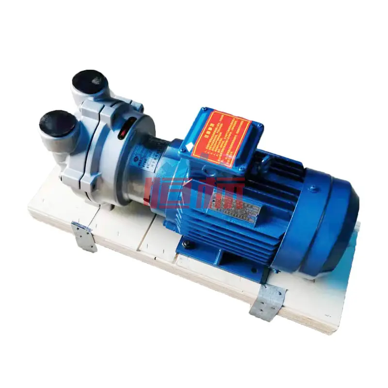 2 BV2 071 Flüssigkeits ring pumpe für Vakuum-Rotations trommel filter Kosten günstige Wasserumwälz-Vakuumpumpe