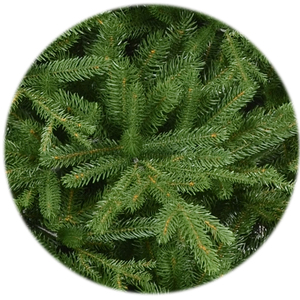 Vente flash - Arbre <span class=keywords><strong>de</strong></span> Noël <span class=keywords><strong>artificiel</strong></span> <span class=keywords><strong>de</strong></span> haute qualité 100% PE avec éclairage intégré, <span class=keywords><strong>180</strong></span> <span class=keywords><strong>cm</strong></span>, base en métal <span class=keywords><strong>de</strong></span> luxe - Product Image 3