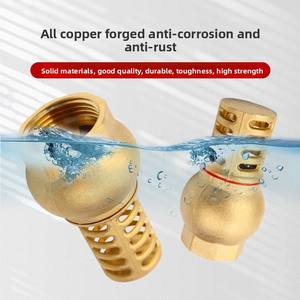 Bomba <span class=keywords><strong>de</strong></span> <span class=keywords><strong>agua</strong></span> <span class=keywords><strong>de</strong></span> latón autocebante Válvula <span class=keywords><strong>de</strong></span> retención Pagoda <span class=keywords><strong>de</strong></span> cobre <span class=keywords><strong>Filtro</strong></span> <span class=keywords><strong>de</strong></span> <span class=keywords><strong>entrada</strong></span> <span class=keywords><strong>de</strong></span> resorte antirreflujo para bombas <span class=keywords><strong>de</strong></span> <span class=keywords><strong>agua</strong></span> - Product Image 2