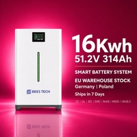 Kit solaire complet 16 kWh 51,2 V 320 Ah LiFePO4 avec barre lumineuse LED et onduleur 50 kW pour maison connectée au réseau, stock entrepôt UE
