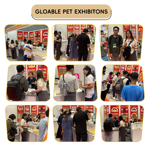 Arena para Gatos de Bentonita Blanca Aglomerante de Alta Absorción, Fabricantes Chinos de Arena para Gatos de Bentonita Clásica - Product Image 4