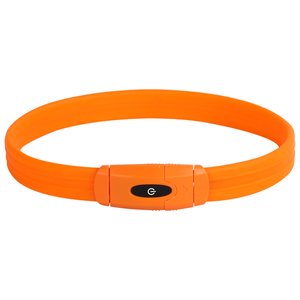 Collar <span class=keywords><strong>LED</strong></span> Recargable de Goma Suave para Perro <span class=keywords><strong>2026</strong></span>, Luces Brillantes Personalizadas Sólidas y Sencillas, Seguridad Nocturna para Caminar, Luz Intermitente Personalizada - Product Image 1