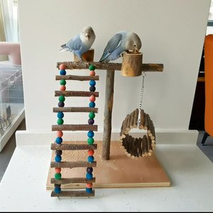 El Último Juguete de Madera Natural Hecho a Mano para Loros, Soporte para Loros de Escritorio - Product Image 6