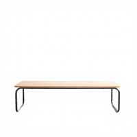Table basse de luxe en fer forgé au design nordique, mobile pour usage domestique