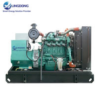 Pasokan Pabrik Genset Biogas 62.5kVA Harga Set Generator 50kW Mesin Yuchai YC4D90N-D30 Tipe Terbuka untuk Penggunaan Rumah Tangga