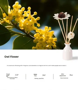 Hot Selling Eco-Friendly BPA Free Ceramic Bottle Household Scent Essential Oil Air Freshener Aromatherapy Reed <strong>Diffuser</strong> 30ml - Product Image 5