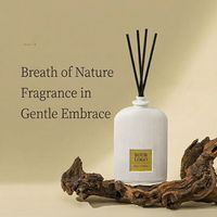 Ensemble diffuseur de parfum à bâtonnets pour cadeau, diffuseur d'huiles essentielles d'aromathérapie avec bâtonnets en rotin naturel pour Noël, vente en gros