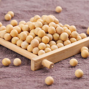 Graines <span class=keywords><strong>de</strong></span> <span class=keywords><strong>soja</strong></span> séchées riches en protéines, en vrac, certifiées biologiques, 2025 - Product Image 1