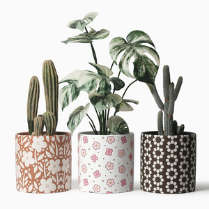 Ceramic Succulent Planter in Garden Style Flower <b>Pots</b> <b>with</b> Straight Cylinder Flower <b>Pot</b> Succulents wholesale products ceramic - Product Image 1