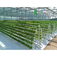 Grande serre en verre personnalisée pour l'agriculture en plein air avec système hydroponique pour une culture efficace des légumes