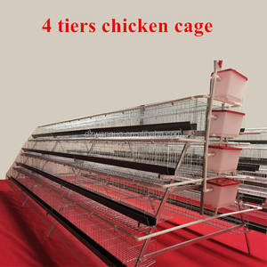 <span class=keywords><strong>Cage</strong></span> de batterie de volaille automatique galvanisée en nouvel état pour <span class=keywords><strong>cage</strong></span> de poulet de ferme nigériane - Product Image 3