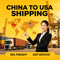 Transport maritime professionnel de conteneurs FCL DDP Chine vers les États-Unis pour les grandes expéditions Amazon FBA