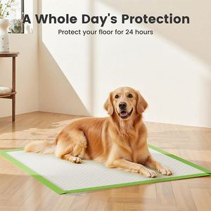 Coussinets d'entraînement jetables verts sur mesure, 6 couches, anti-fuites, écologiques, super absorbants, fournitures pour animaux de compagnie - Product Image 3