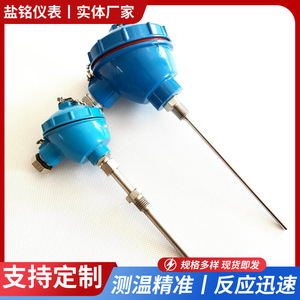 Wzp 130 230 231 331 Pt100 Pt200 Armored Platinum Resistance Temperature Sensor Screw Terminal Multiple Connection Options - Product Image 5