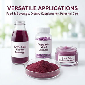 สารสกัดจากเปลือกองุ่นสมุนไพรธรรมชาติ  โอพีซี/เรสเวอราทรอล  ปริมาณสูง ป้องกันรังสียูวี  เกรดอาหาร  ผงสารต้านอนุมูลอิสระ  ละลายน้ำได้ - Product Image 4