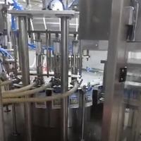 Acepack CE-gecertificeerde FC-4 staande retort spout pouch vul- en afsluitmachine voor dranken en dagelijkse chemicaliën