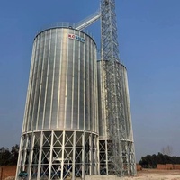 Silo Verticale in Acciaio Inox con Fondo Conico, Capacità 500T-1000T, Assemblaggio Imbullonato, Zincato, per Uso in Allevamenti Avicoli e Stoccaggio