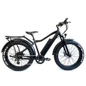 Cadre en alliage alu OEM vélo électrique de croisière de plage de neige 500W 750W 1000W gros pneu e vélo électrique gros vélo électrique vélo électrique