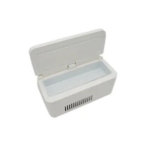 Isolin geladeira portátil 1l, armazenamento frio, medicina para veículo, isolamento, refrigerador