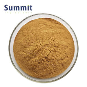 Szechuan levage rizoma in polvere miglior prezzo puro naturale estratto di Chuanxiong Ligusticum Chuanxiong Hort estratto - Product Image 2