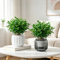 Pot Bunga Maxuan Gaya Nordik Kreatif, Anti Kering, Bahan PET, untuk Meja Dalam Ruangan/Balkon, Bentuk Labu, Grosir