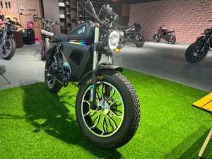 Vélo Électrique Haute Performance pour Adultes, Vélo Tout-Terrain Puissant et Vélo 60V à Vendre en Ligne, Vélos Électriques SK-2 pour Adultes SK-2 - Product Image 3