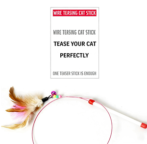 Jouet classique de luxe pour chat en fil d'acier long, durable, pour l'exercice, anti-ennui, motif uni, en plastique, Hebei - Product Image 3